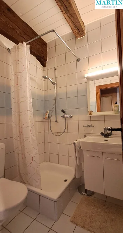 In vendita nel cuore della Città Vecchia di Friburgo, un magnifico attico – foto 13 di 31