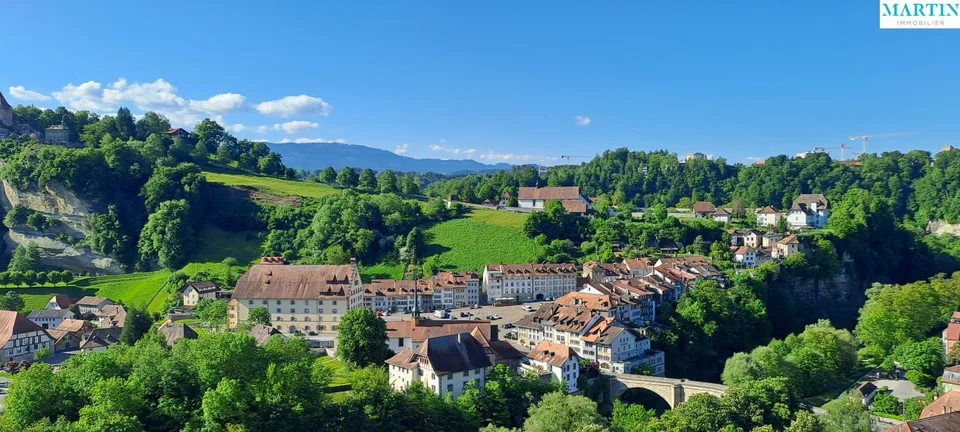 A vendre au coeur de la Vieille Ville de Fribourg un magnifique attique