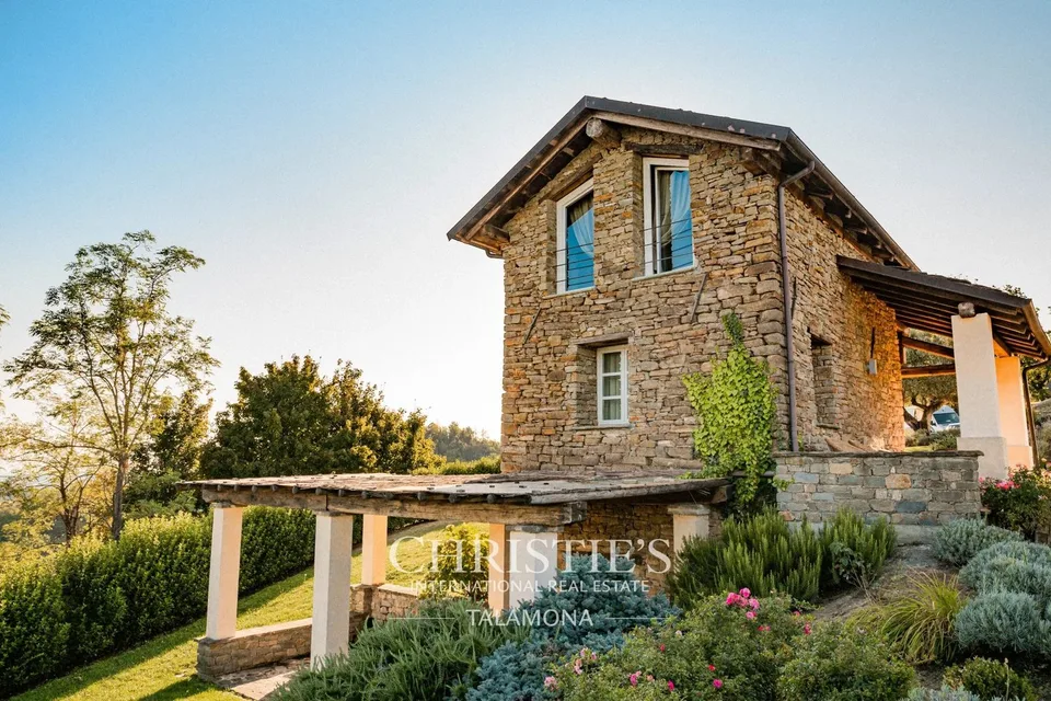 Azienda vinicola con vigneti e casa di campagna in Alta Langa ? Melazzo