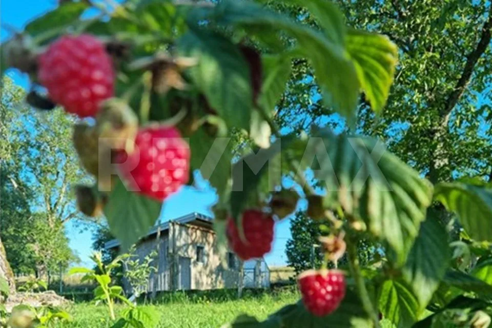 Fattoria, azienda biologica, 130 km da Basilea, qualità della vita perfetta, F-88370 Bellefontaine