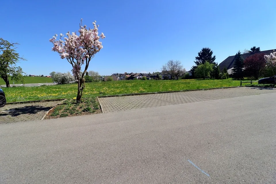 4½ pièces au rez avec terrasse et jardin – Foto 13 von 13