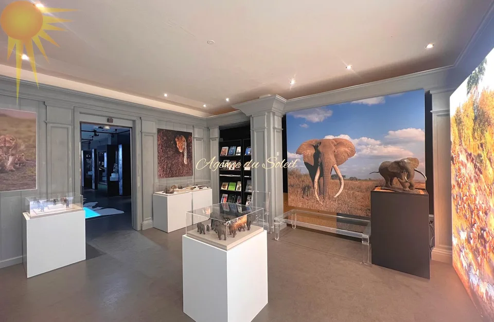 Grand espace commercial de 191 m² en plein coeur de la station !
