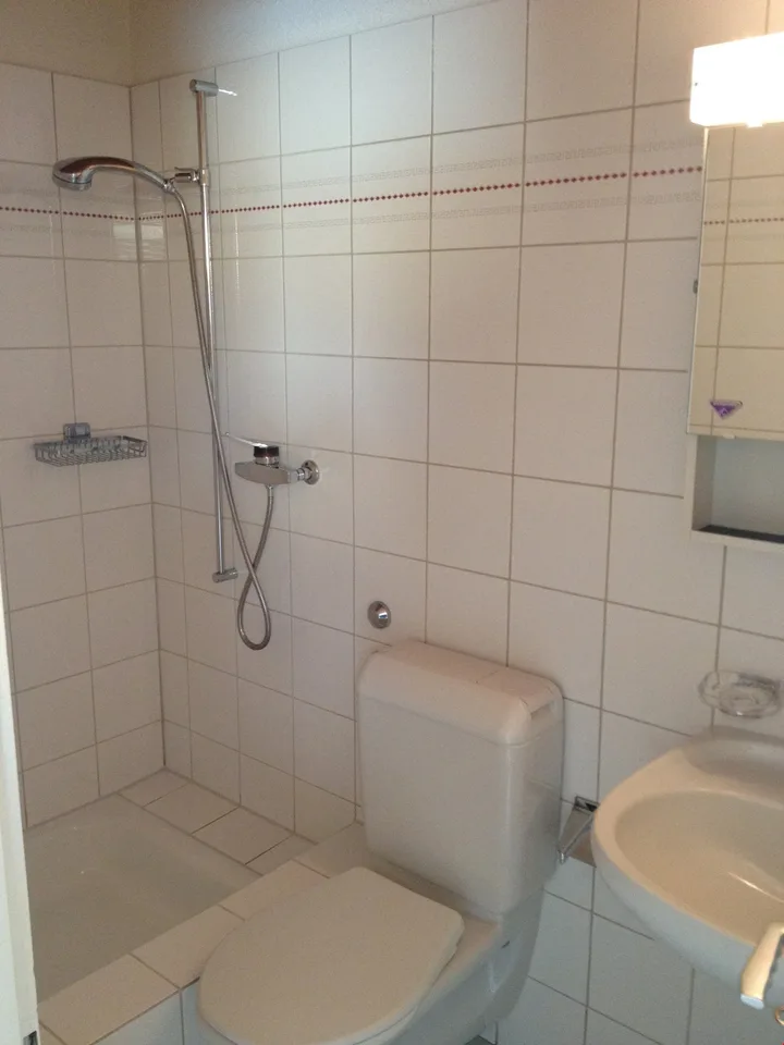 Studio abordable à Aegerten