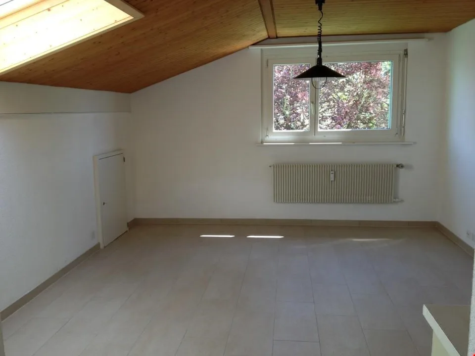 Studio abordable à Aegerten