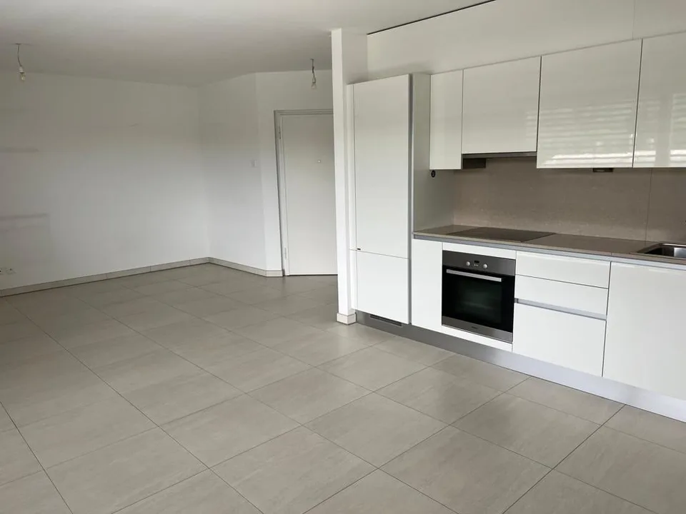 Stabio - attico con ARIA CONDIZIONATA di 3.5 locali e doppio balcone