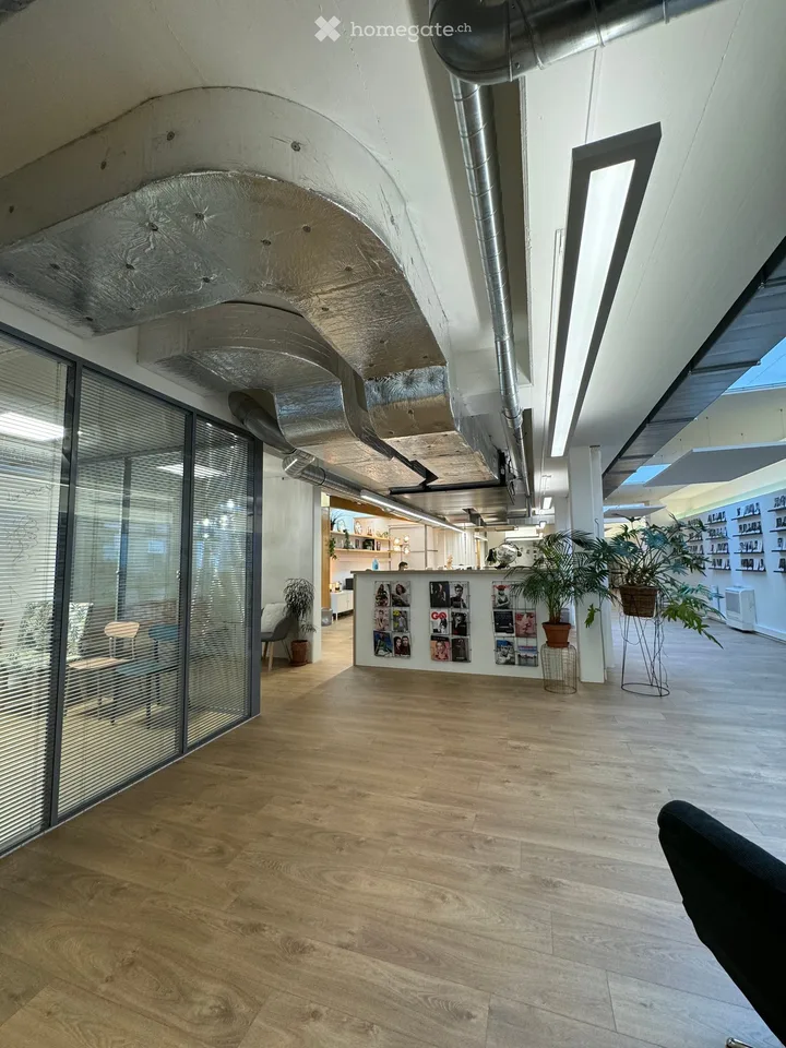 Office / Arcade in Geneva