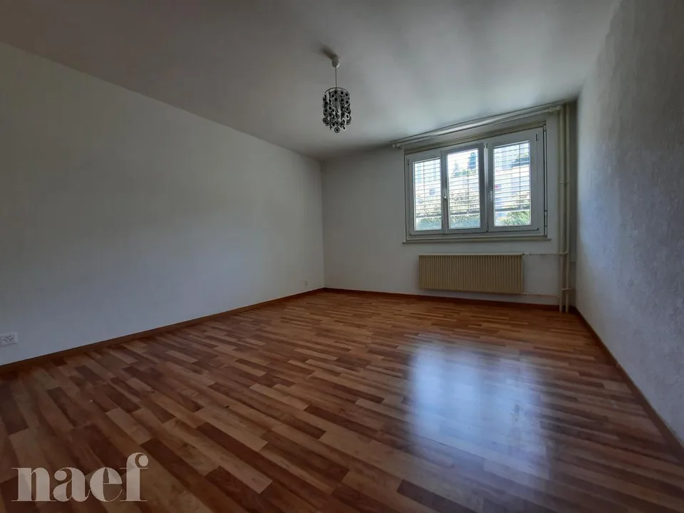 Bello appartamento di 3 locali al 3° piano