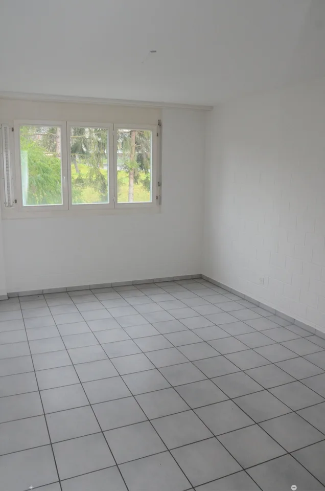 Helle 4.5-Zimmer-Wohnung
