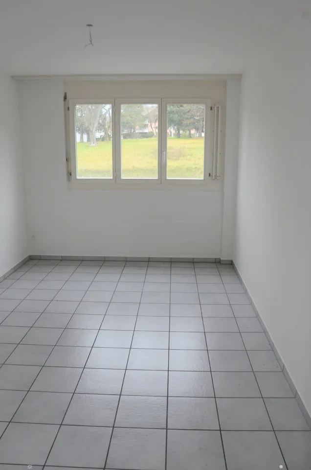Helle 4.5-Zimmer-Wohnung