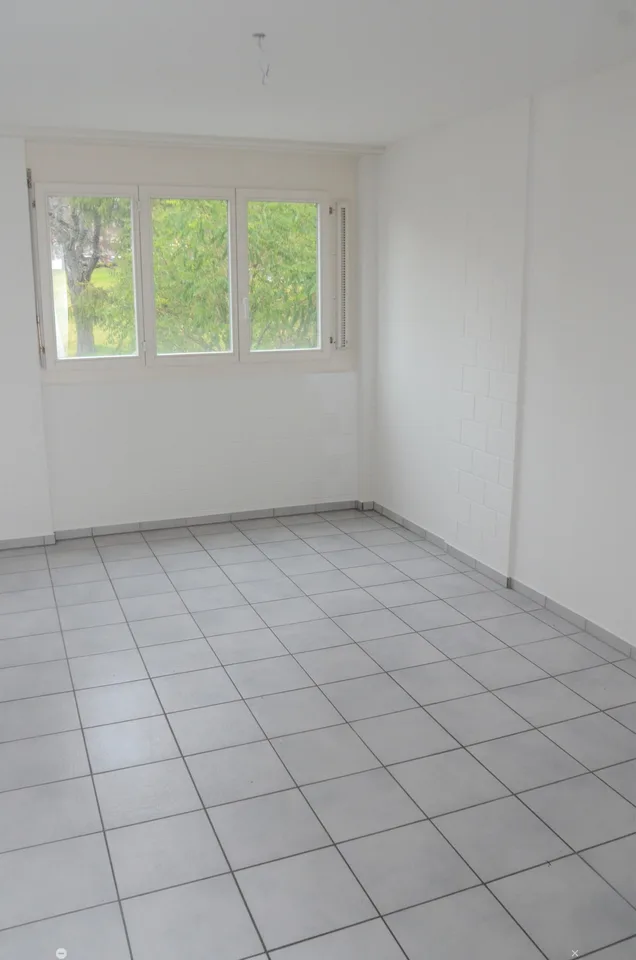 Helle 4.5-Zimmer-Wohnung