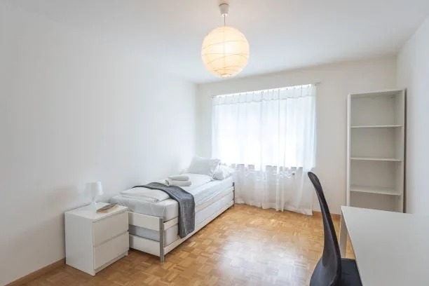 Ampio tre camere vicino a Spalentor – foto 21 di 24