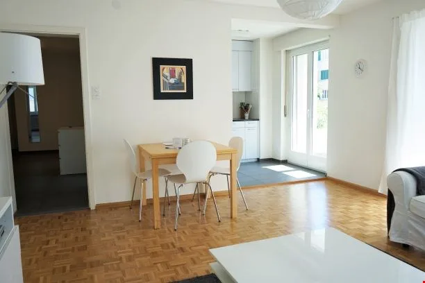 Spacious three Room near Spalentor