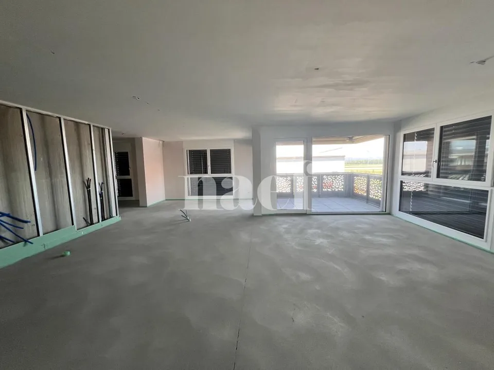 Superficie commerciale modulare a partire da 57 m2 in stato grezzo al primo piano!
