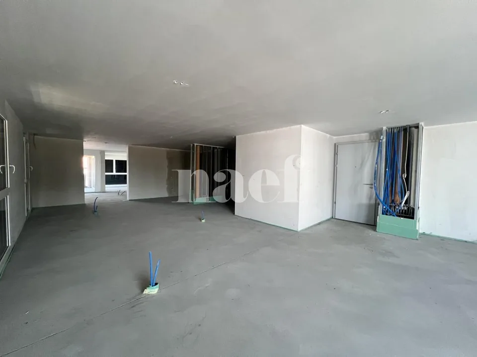 Superficie commerciale modulare a partire da 57 m2 in stato grezzo al primo piano!