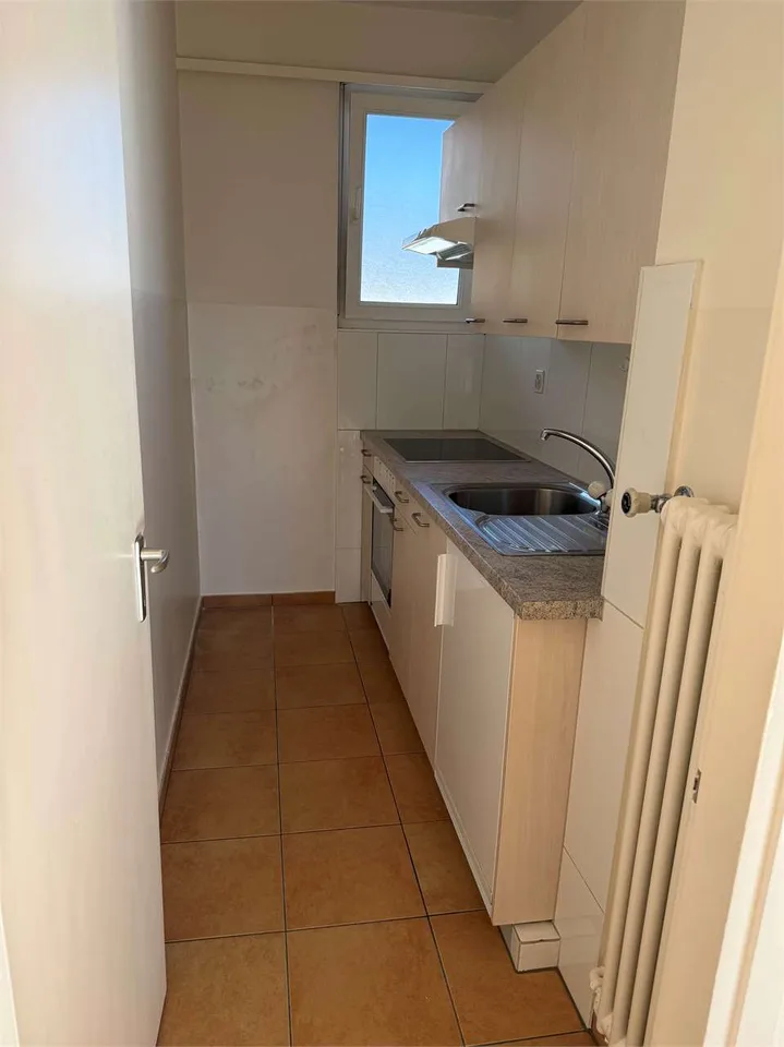 Appartement pratique de 1,5 pièces avec balcon et vue sur le lac - Minusio