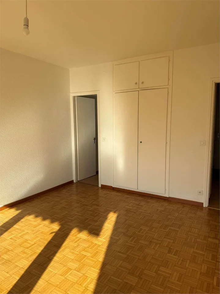 Appartement pratique de 1,5 pièces avec balcon et vue sur le lac - Minusio