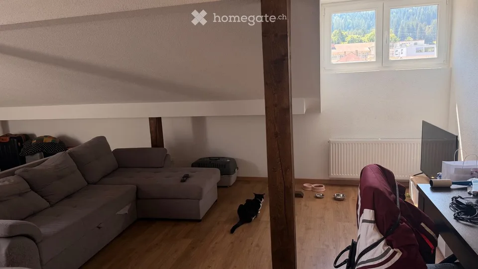 Studio 1,5 Zimmer