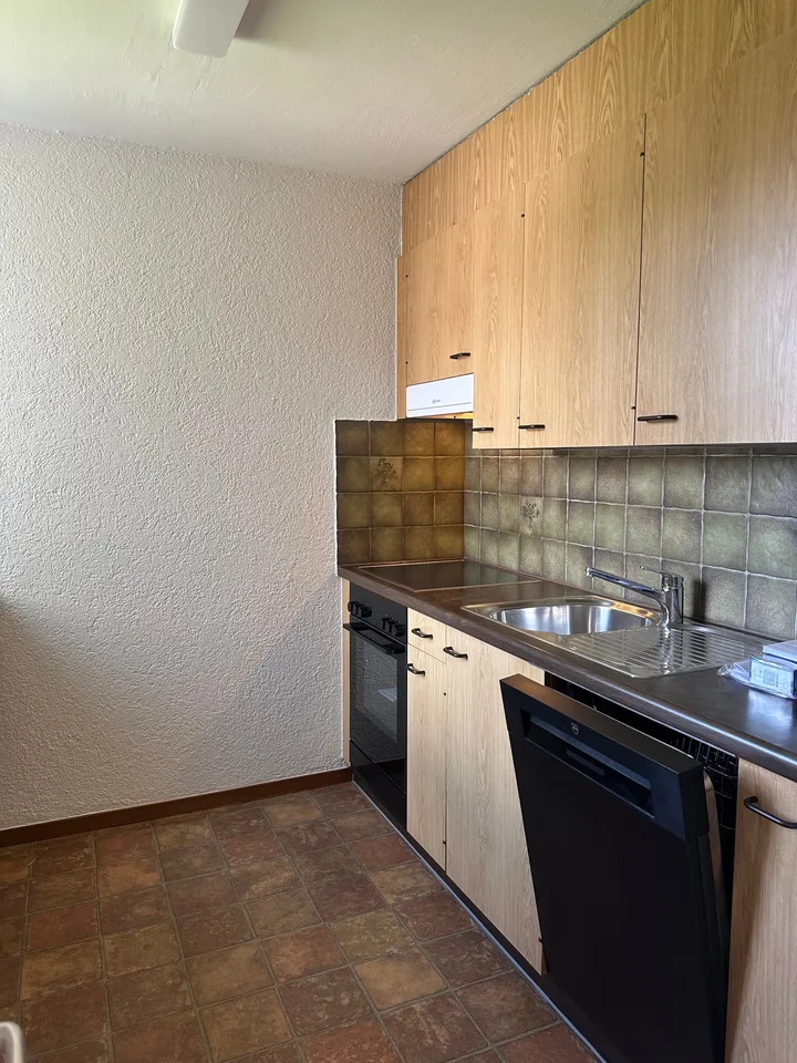 Helle 4-Zimmer-Wohnung mit Balkon in Luzern – ab sofort verfügbar