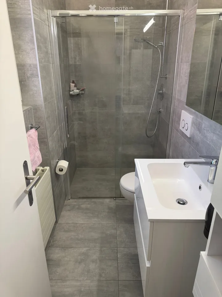 Affitto Casa Unifamiliare 4.5 Locali a Losone