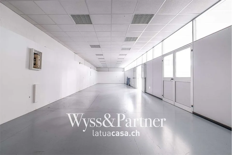 Bioggio, großes modulierbares Gewerbeflächen
