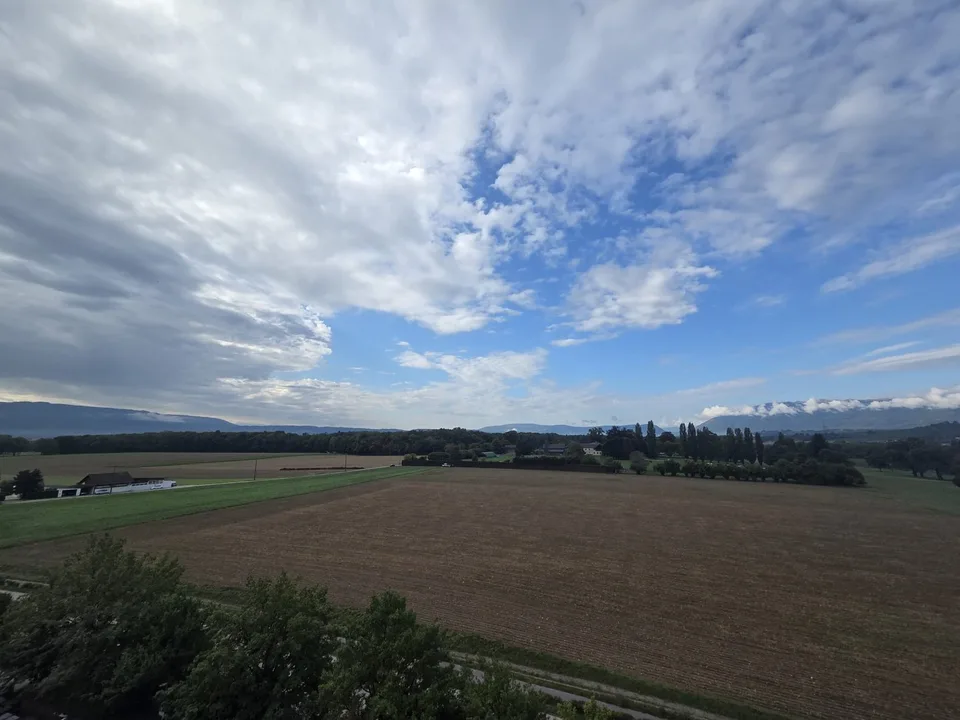 Superficie artigianale e/o industriale al piano terra con banchina di carico e scarico – foto 7 di 7