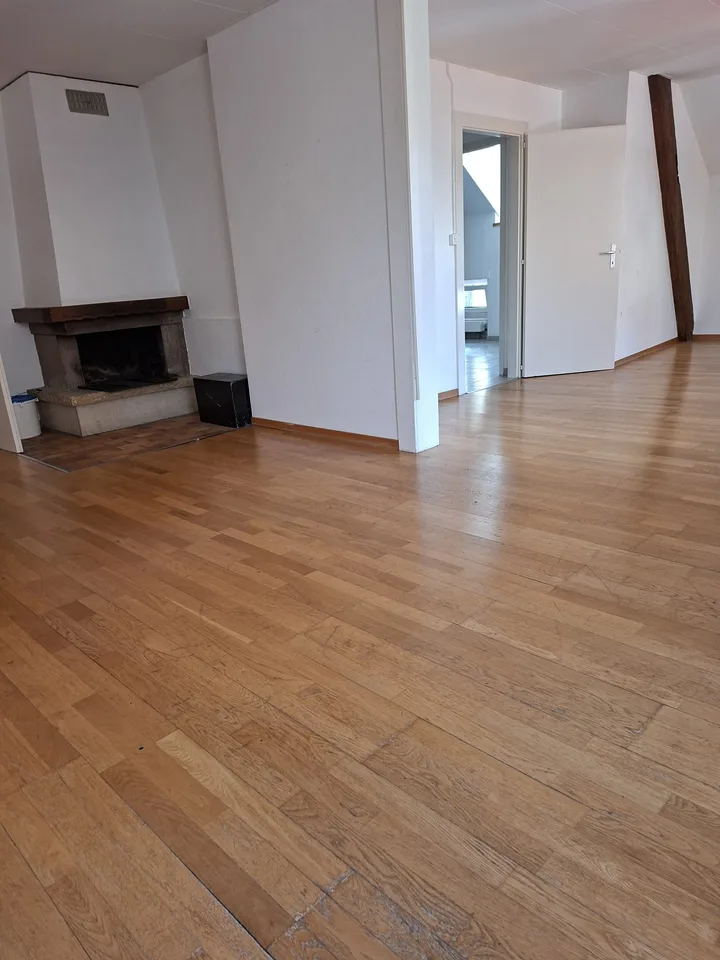 Spacieux appartement de 5 pièces avec cheminée