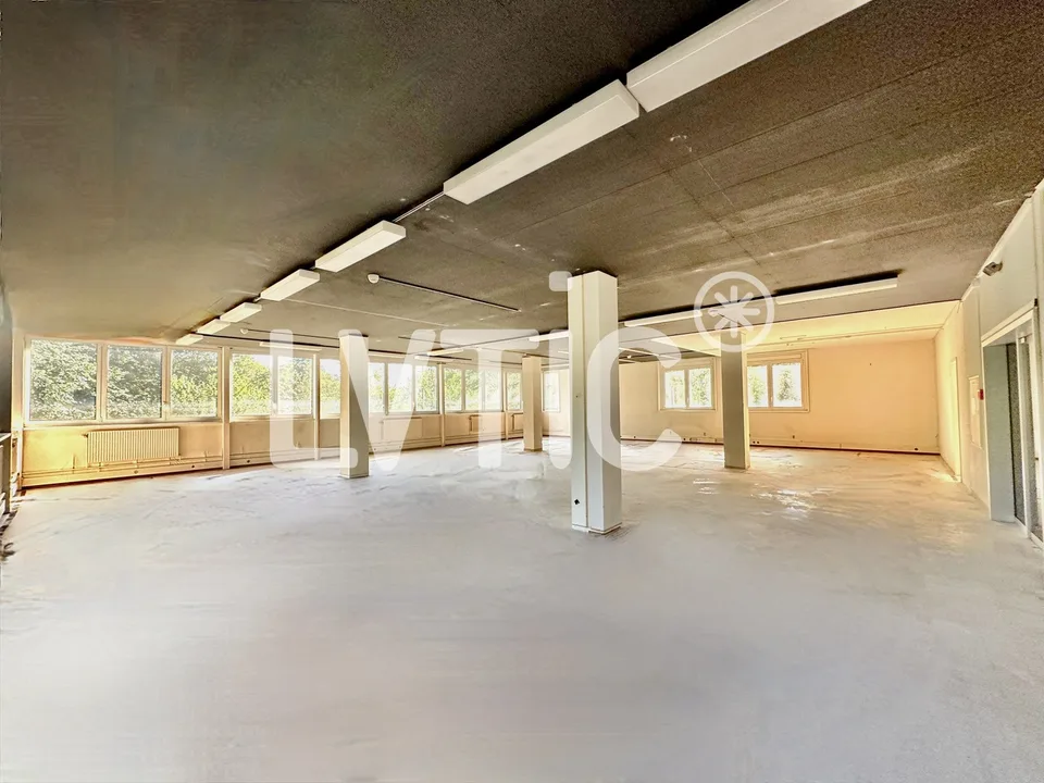 Uffici, locali di 886 m2 divisibili in affitto a Ropraz