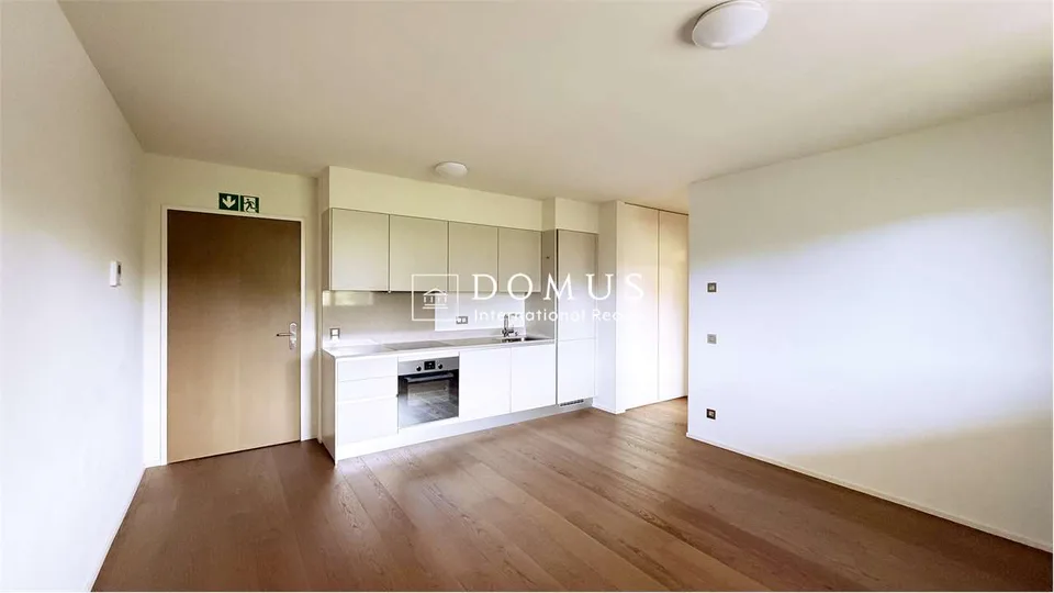 Nuovo 2.5 locali a Montagnola