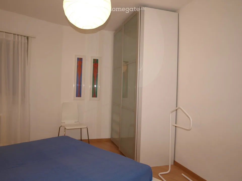 Bello oggetto residenziale arredato a Neuhausen am Rheinfall