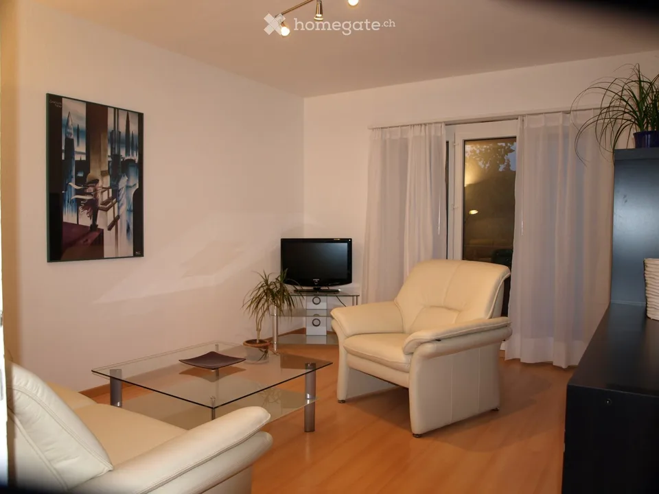 Bello oggetto residenziale arredato a Neuhausen am Rheinfall