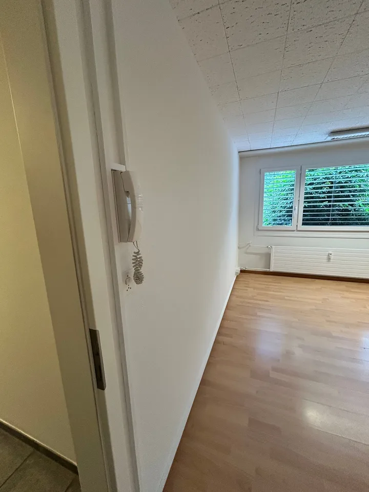 Spazio per studio / laboratorio in Allschwil in affitto