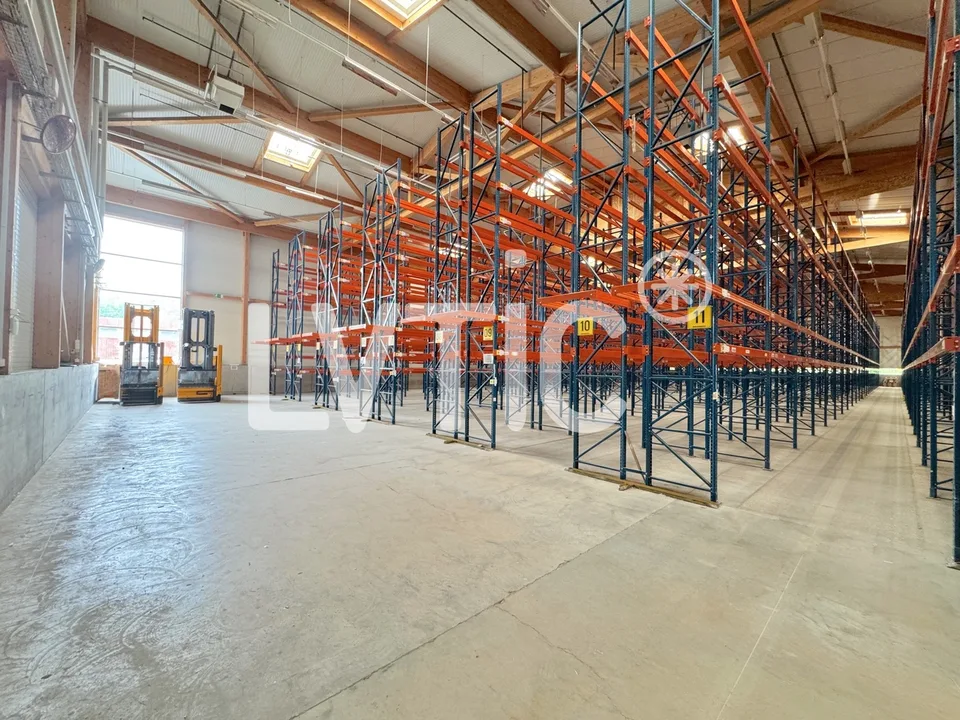 Magazzino logistico di 1200 m2 in affitto a Cheseaux-sur-Lausanne