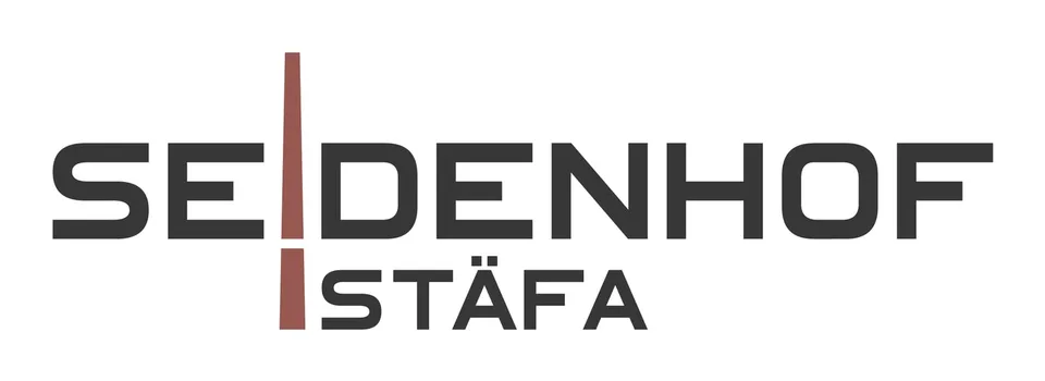 SEIDENHOF Stäfa - Room with a Future – photo 9 of 9