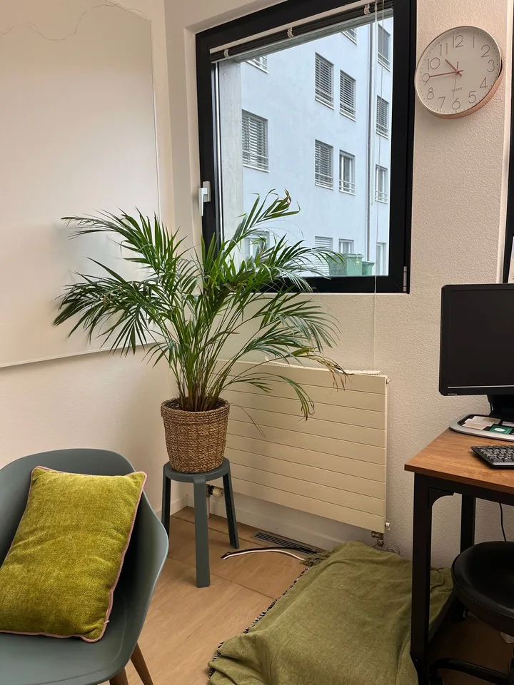 Büro zu vermieten, ideal für medizinische Praktiker, tägliche Vermietung – Foto 6 von 12