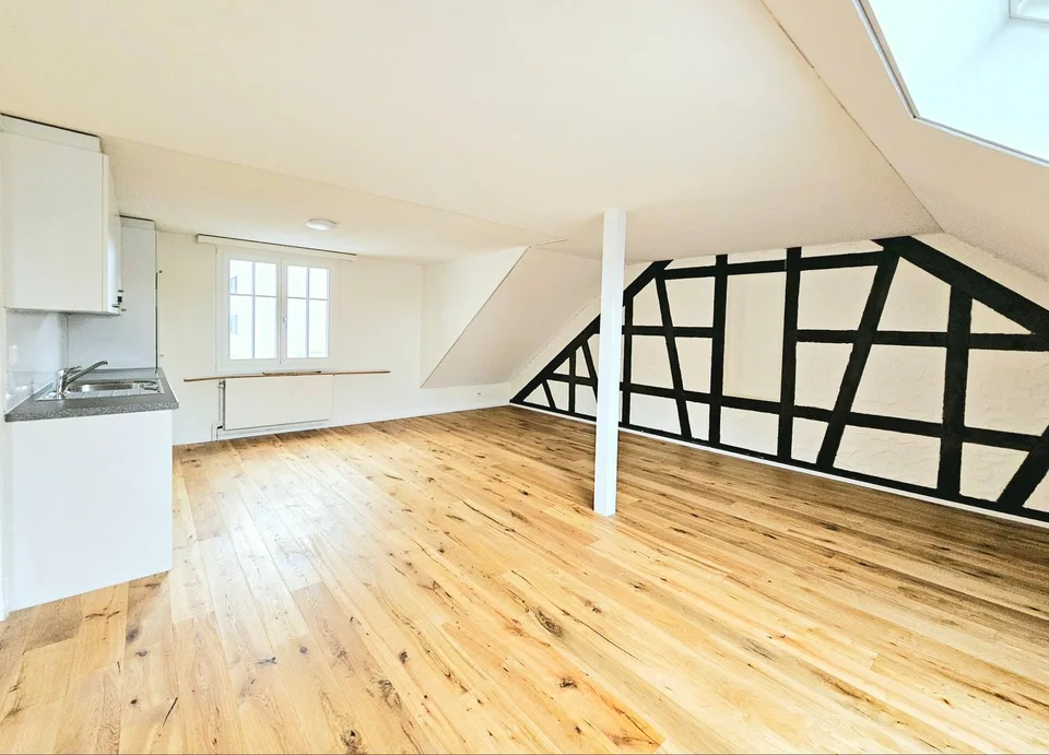 Grand appartement 2.5 pour une personne seule, un couple ou un étudiant