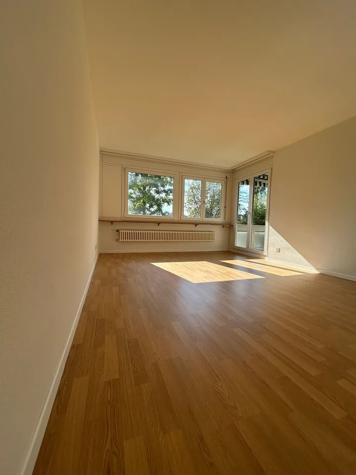 Charmante 4.5-Zimmer-Wohnung mit Balkon in Brugg – ab sofort verfügbar!