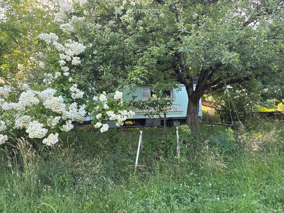 Zirkuswagen im Grünen