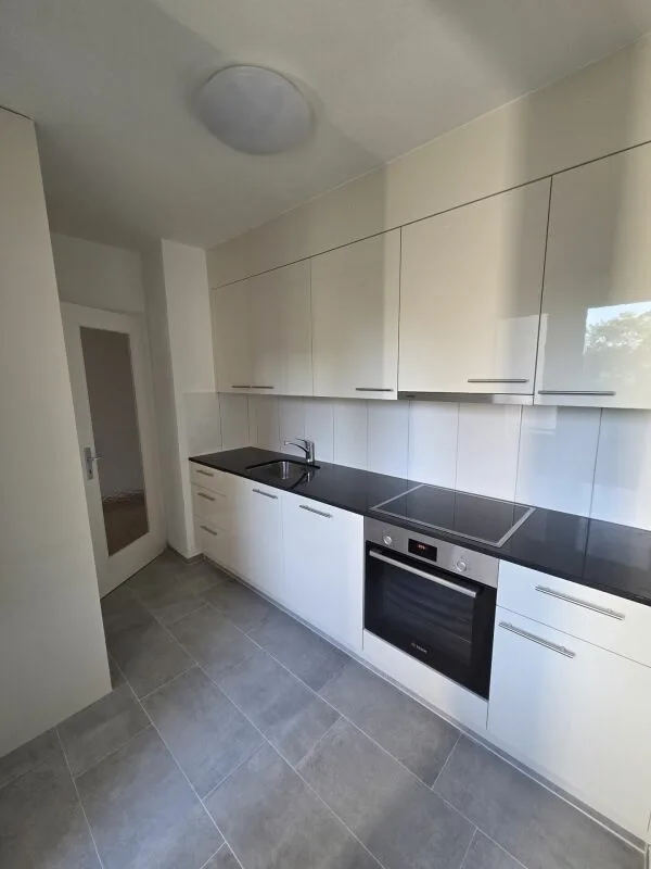 Newly renovated 3.5-room apartment
