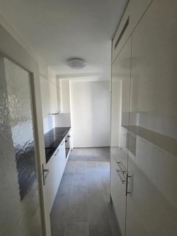 Newly renovated 3.5-room apartment