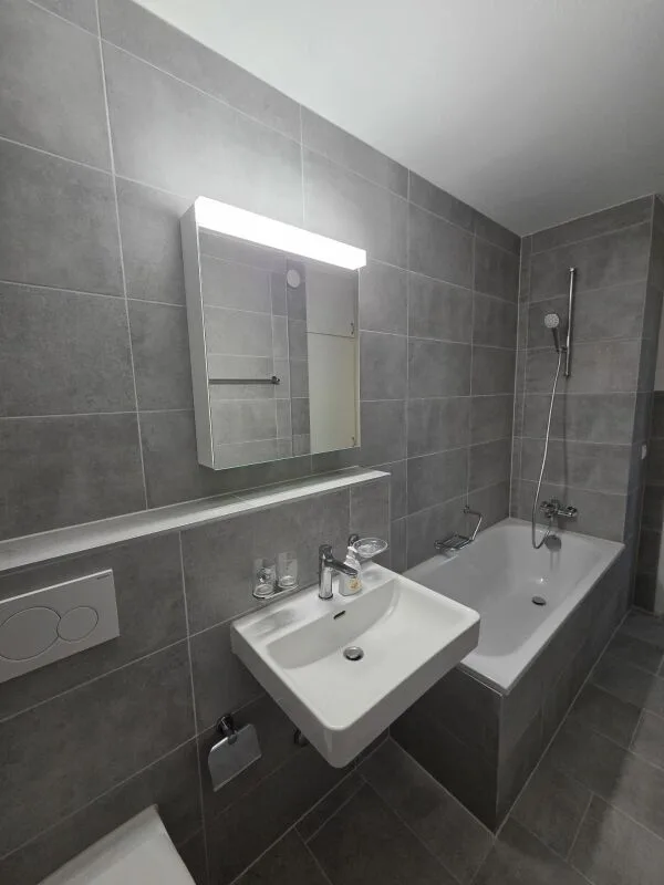Newly renovated 3.5-room apartment