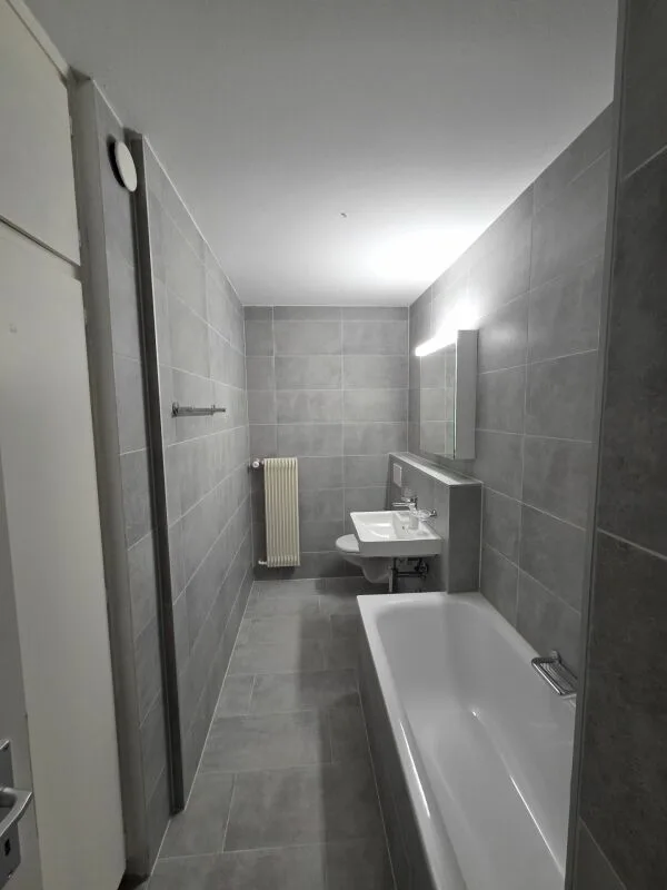 Newly renovated 3.5-room apartment