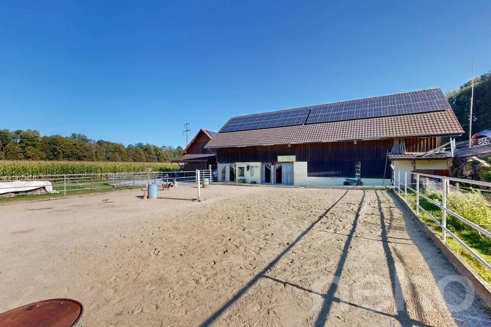 Ideal horse property with 3 apartments in Bischofszell – photo 10 of 19