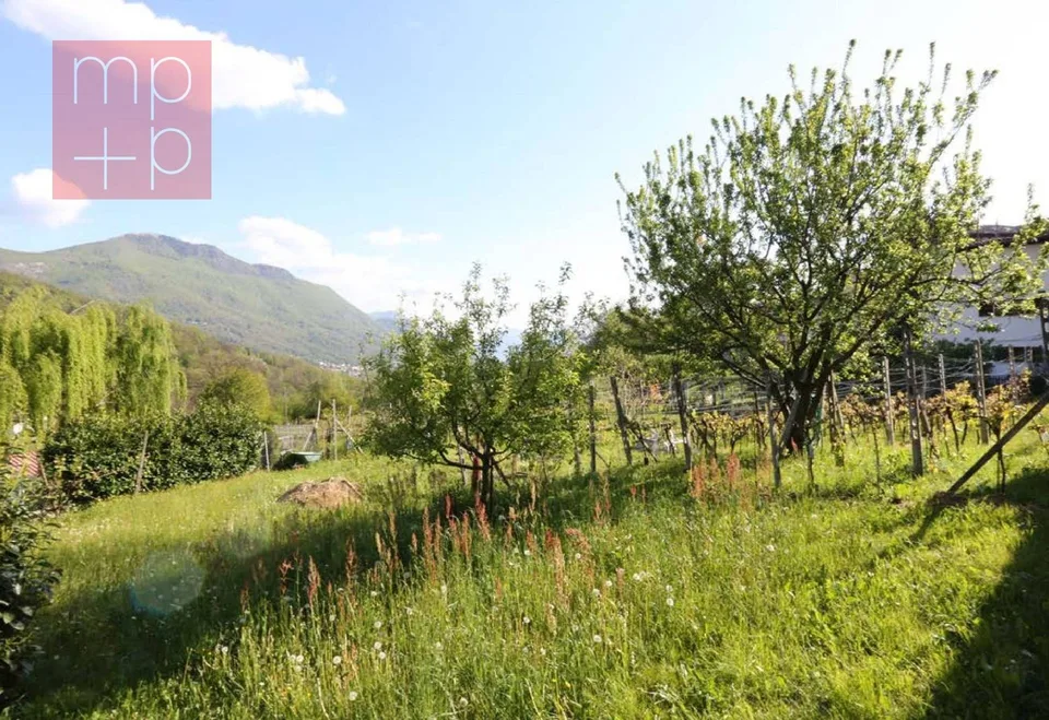 Terreno per costruire - Lopagno