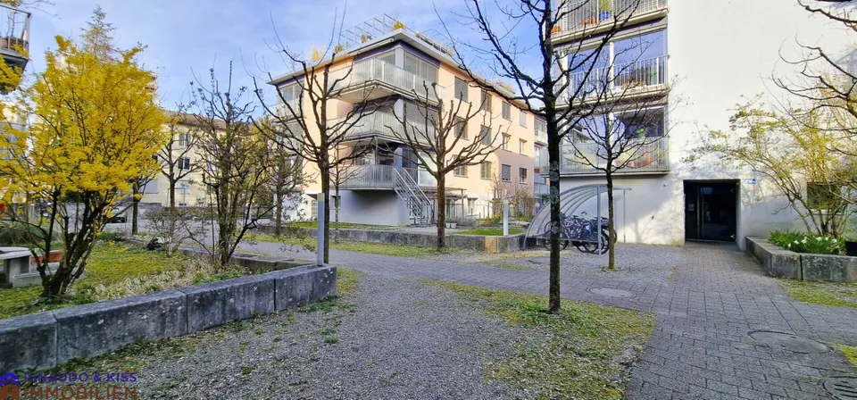 Ein kleines Paradies mitten in Zürich – Foto 12 von 13