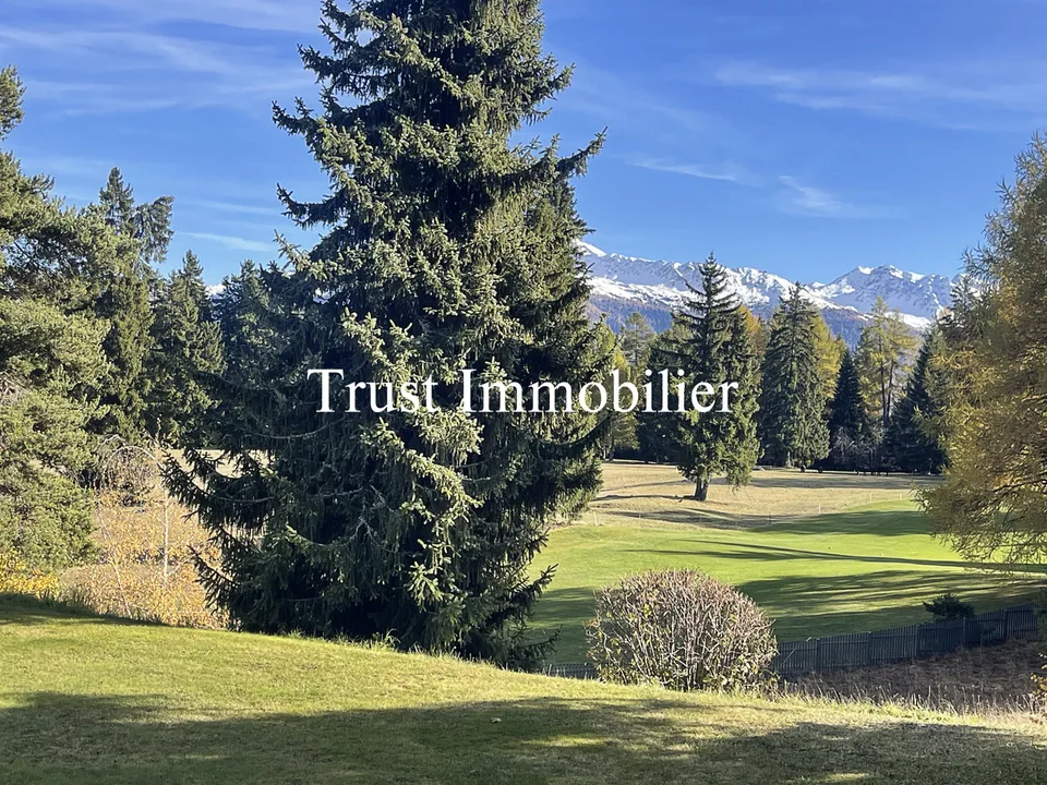 4017. Appartement traversant de standing, proche centre Crans