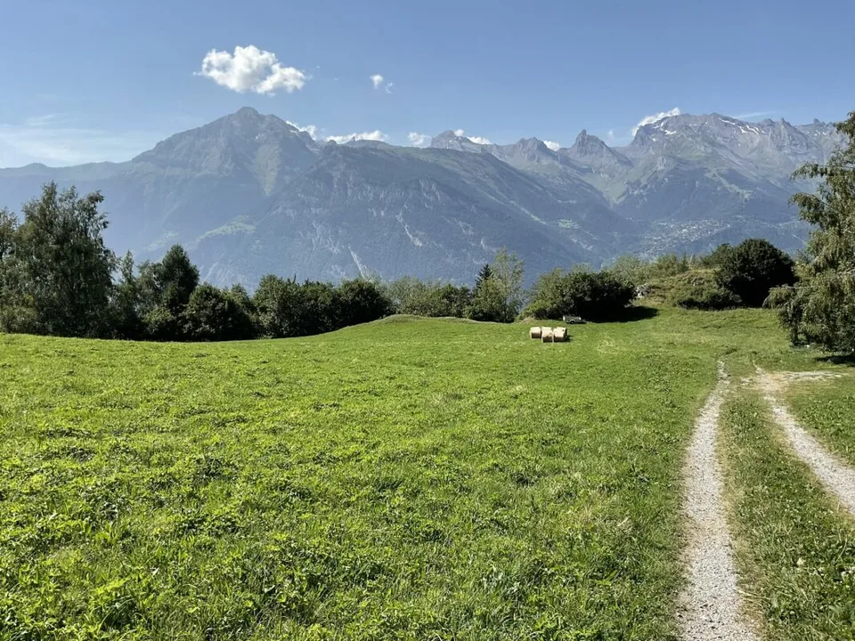 Nel cuore delle 4 Vallées la vostra baita con una vista mozzafiato