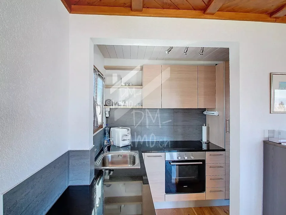 Magnificent chalet and its private studio - Les Giettes