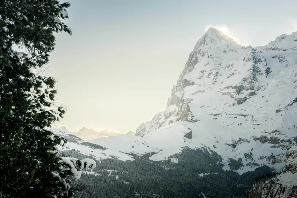 Appartement 3 pièces avec espace extérieur dans la maison Murmeli, Mürren – photo 9 sur 12