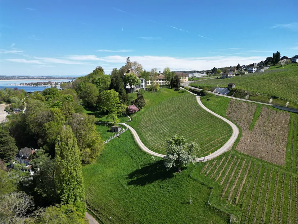 Terreno edificabile unico in posizione privilegiata