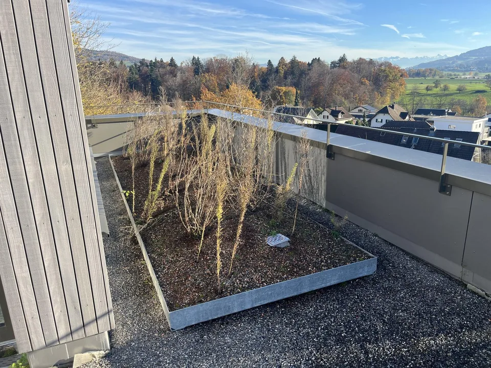 Attikawohnung mit grosser Terrasse inkl. zwei Tiefgaragenparkplätzen an ruhiger Lage. – Foto 15 von 20